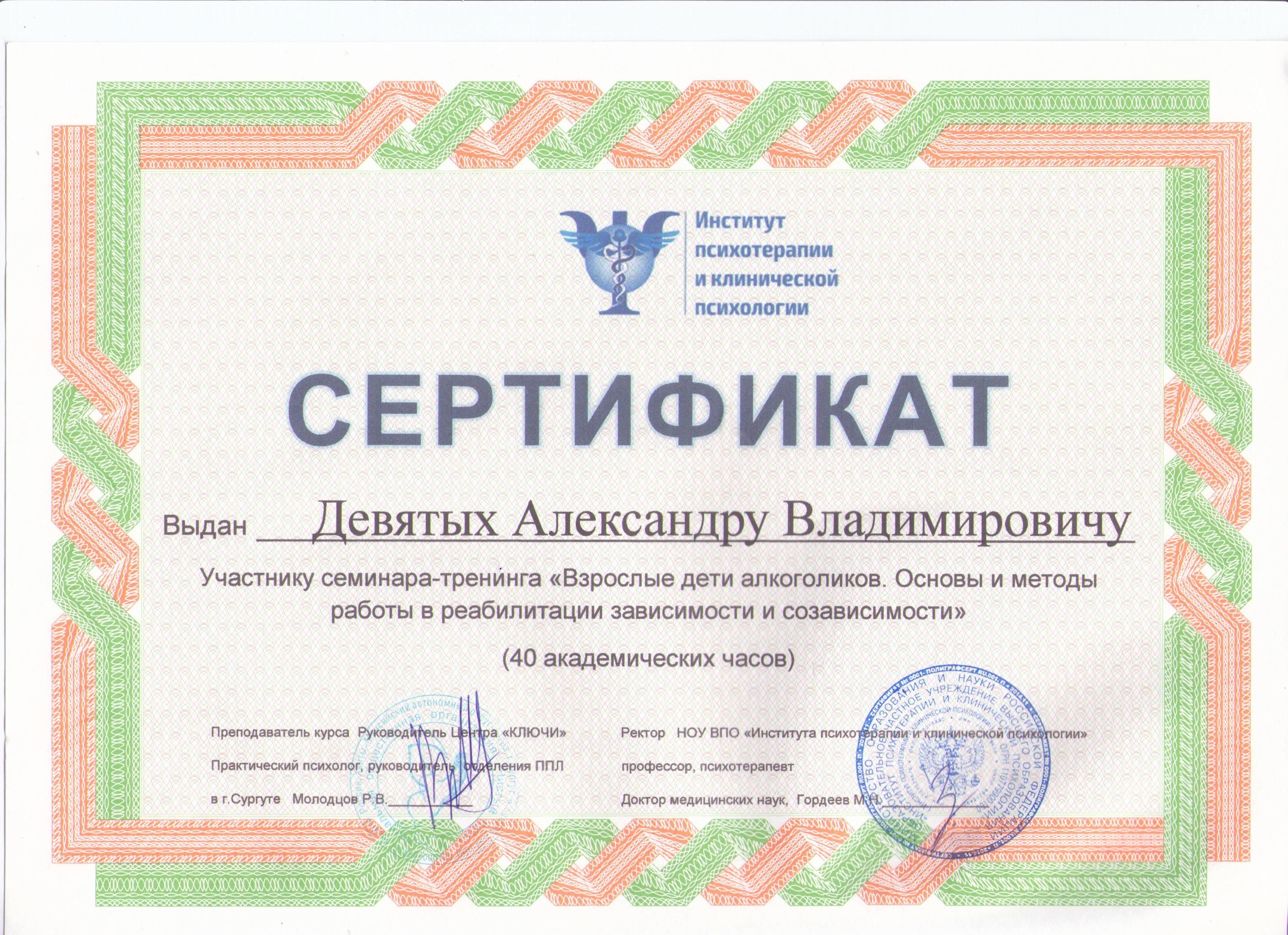 Сертификат Девятых 001