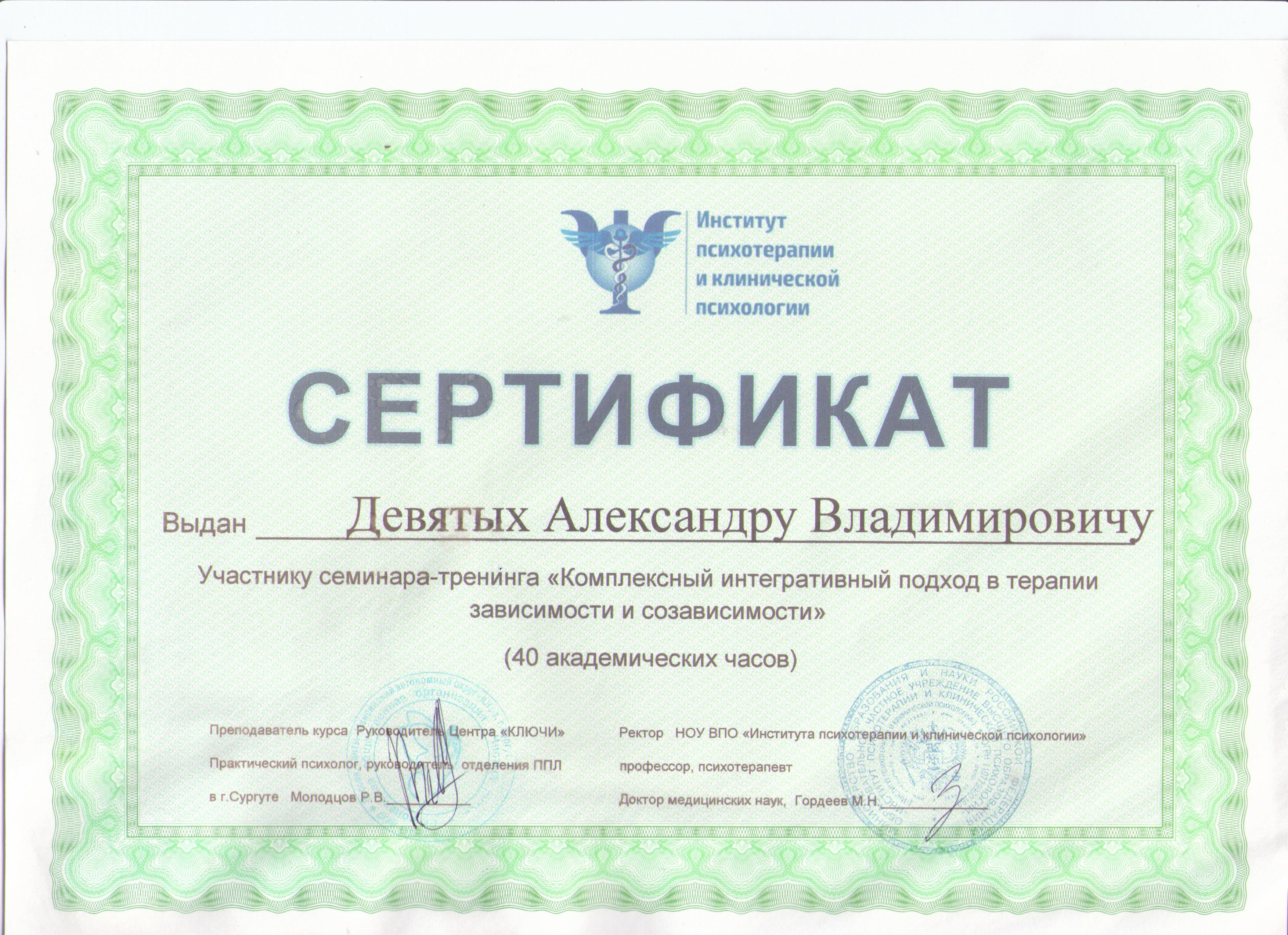 Сертификат Девятых 005